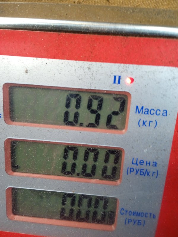 Радиатор масляный Renault Scenic 2 купить в Беларуси