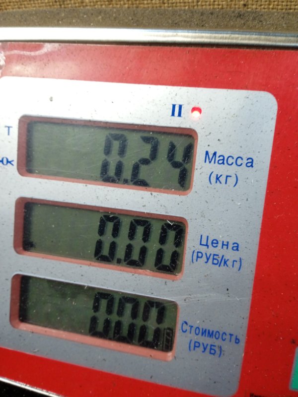 Расходомер воздуха (ДМРВ) Kia Sportage 2 (KM) купить в России