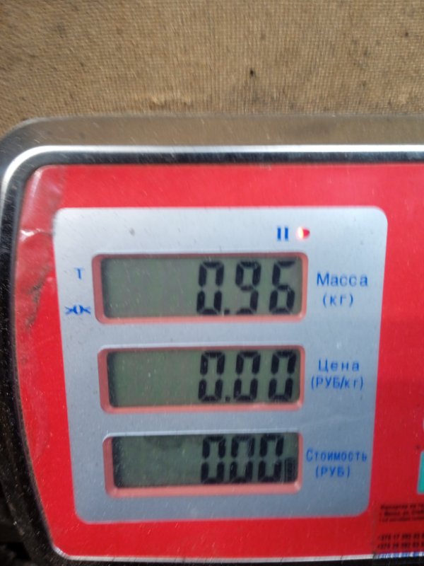 Радиатор системы ЕГР Opel Zafira B купить в России