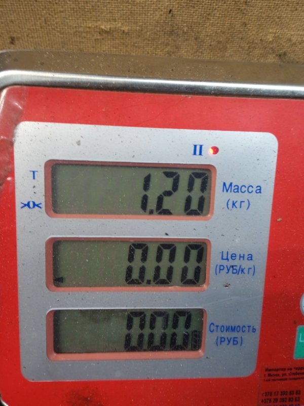 Катушка зажигания Citroen C3 1 купить в Беларуси