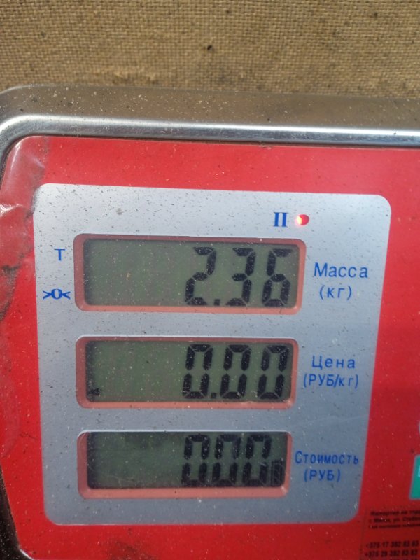 Блок предохранителей Fiat Scudo 2 (270) купить в Беларуси