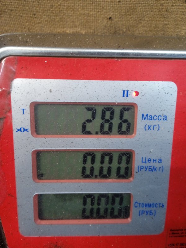Суппорт задний правый Mazda 6 GG купить в Беларуси