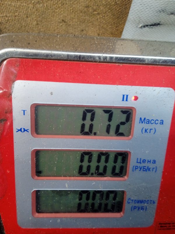 Рампа топливная Honda CR-V 1 купить в Беларуси