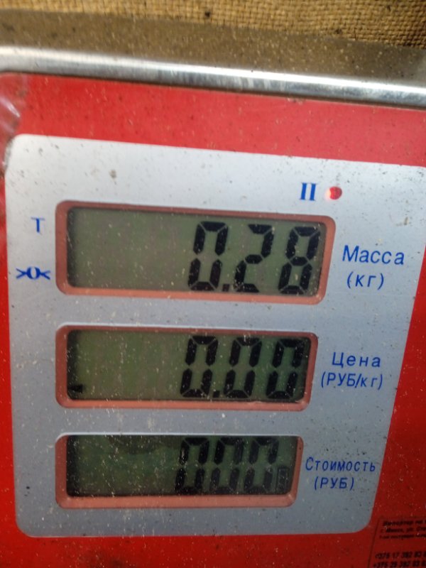 Расходомер воздуха (ДМРВ) Volkswagen Bora купить в Беларуси