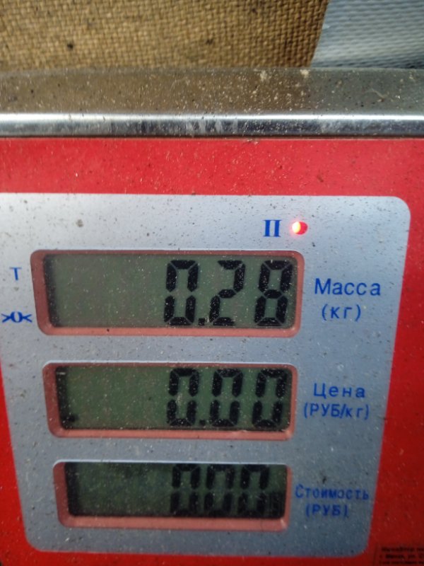 Бачок омывателя Honda Civic 7 купить в Беларуси