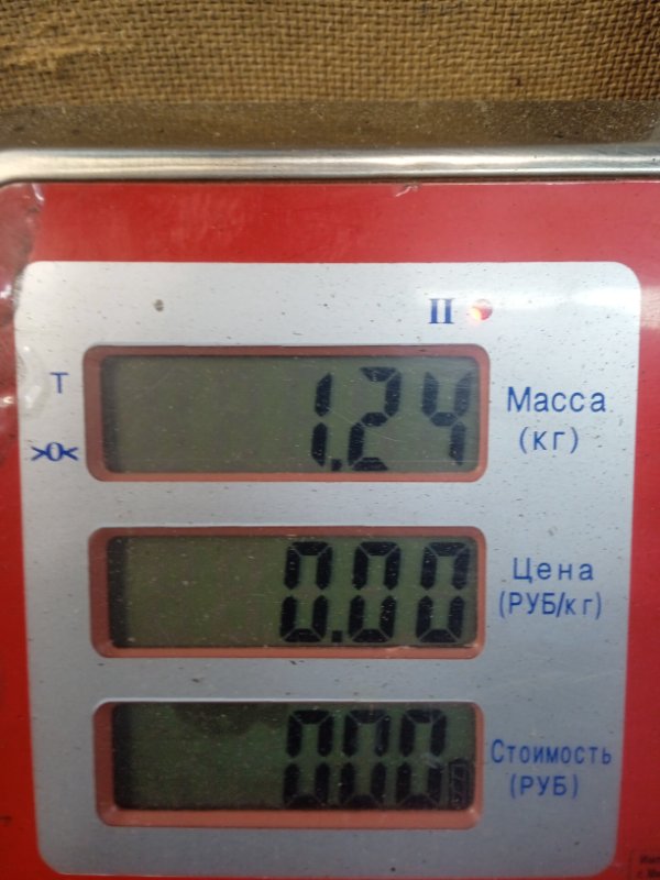 Корпус воздушного фильтра MG ZS купить в Беларуси