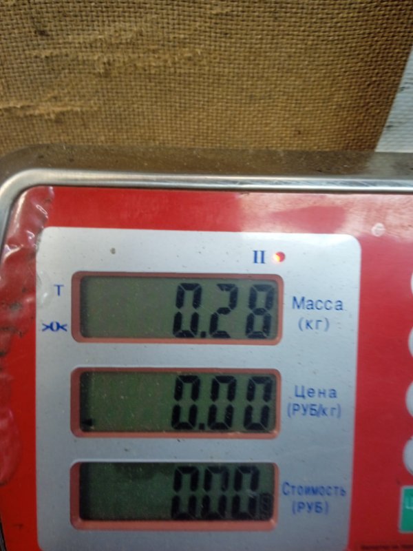 Расходомер воздуха (ДМРВ) MG ZS купить в Беларуси