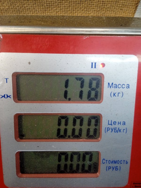 Решетка радиатора Honda Civic 7 купить в России