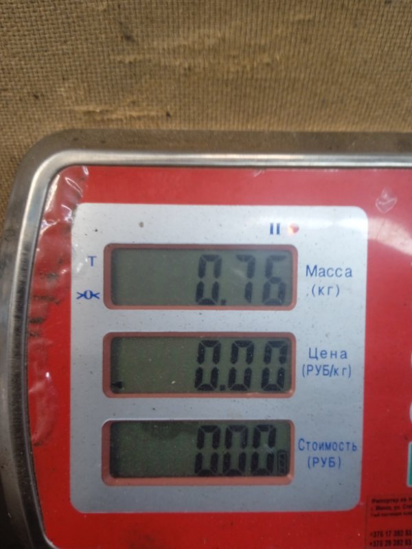 Катушка зажигания Skoda Octavia 1U купить в Беларуси