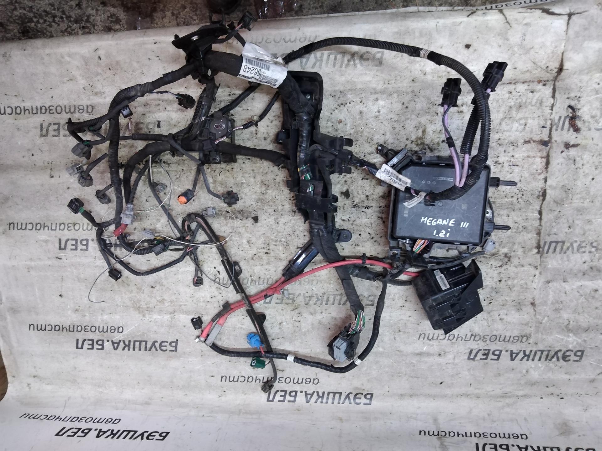 Проводка (жгут проводов) Renault Megane 2 купить в России