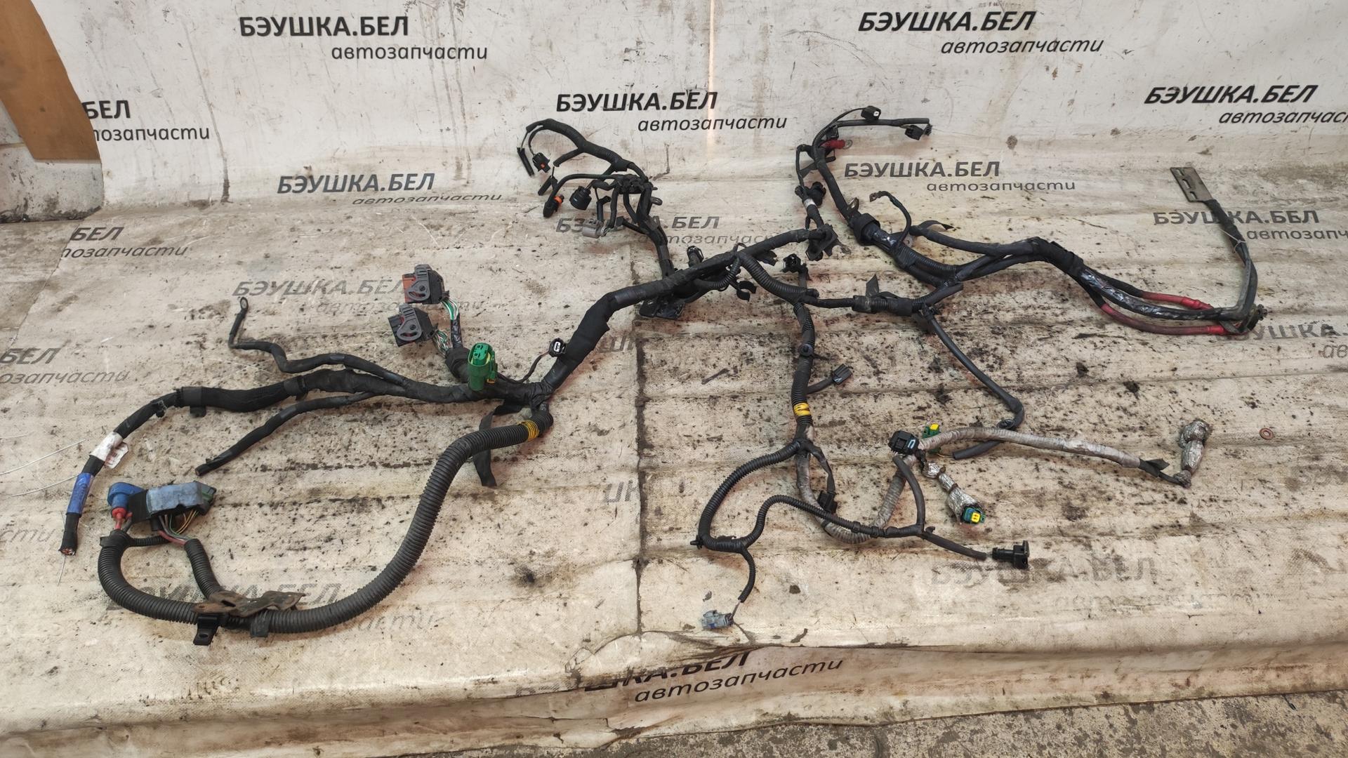 Проводка (жгут проводов) Renault Laguna 2 купить в России
