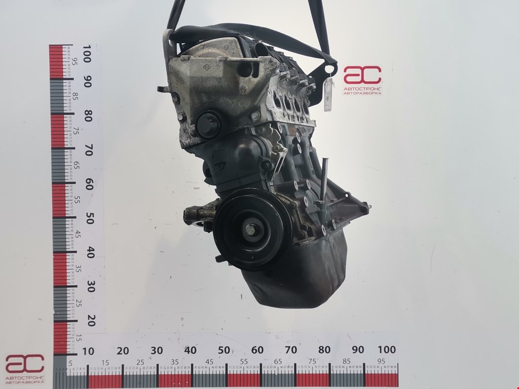Двигатель (ДВС) Dacia Sandero 1