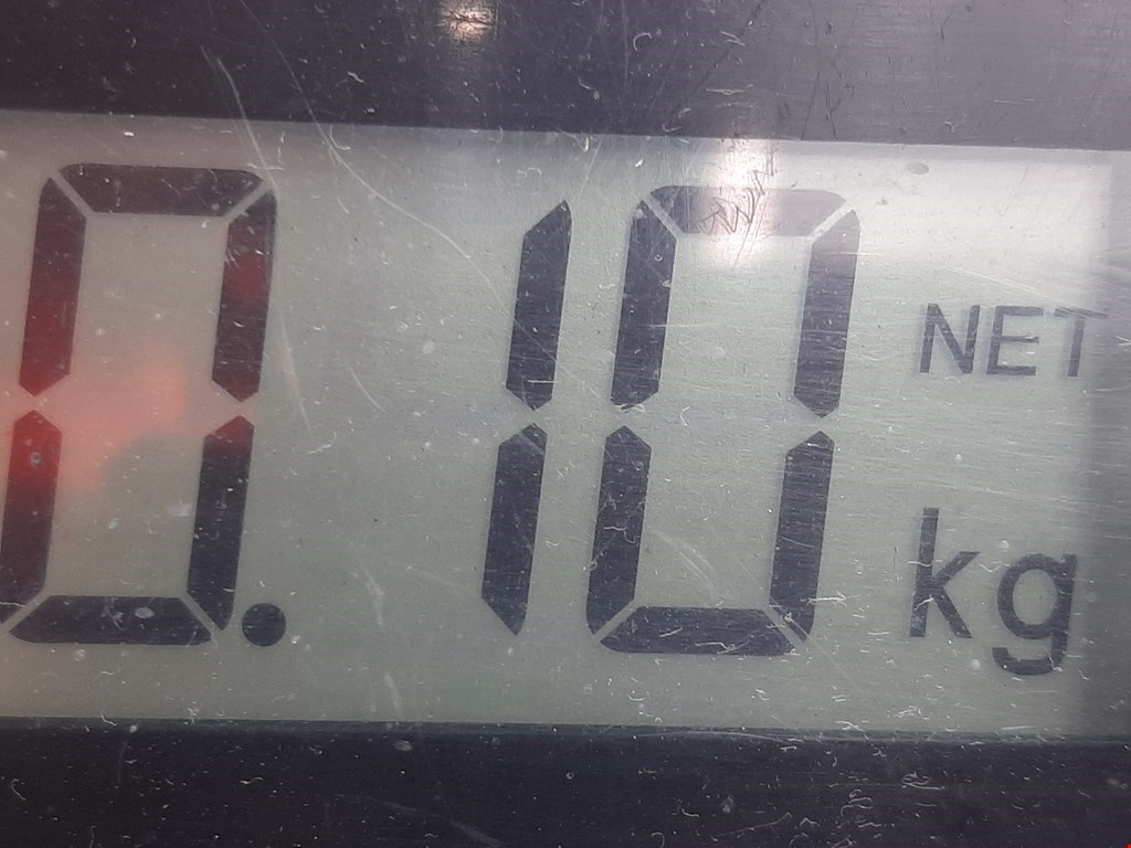 Электропривод (сервопривод) крышки багажника Ford Mondeo 3 купить в Беларуси